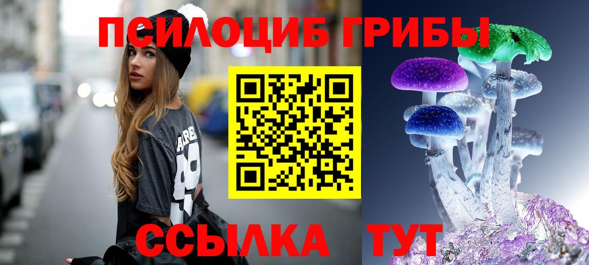 Псилоцибиновые грибы прущие грибы  Вход с VPN  Псилоцибиновые грибы GOLDEN TEACHER  Владивосток 