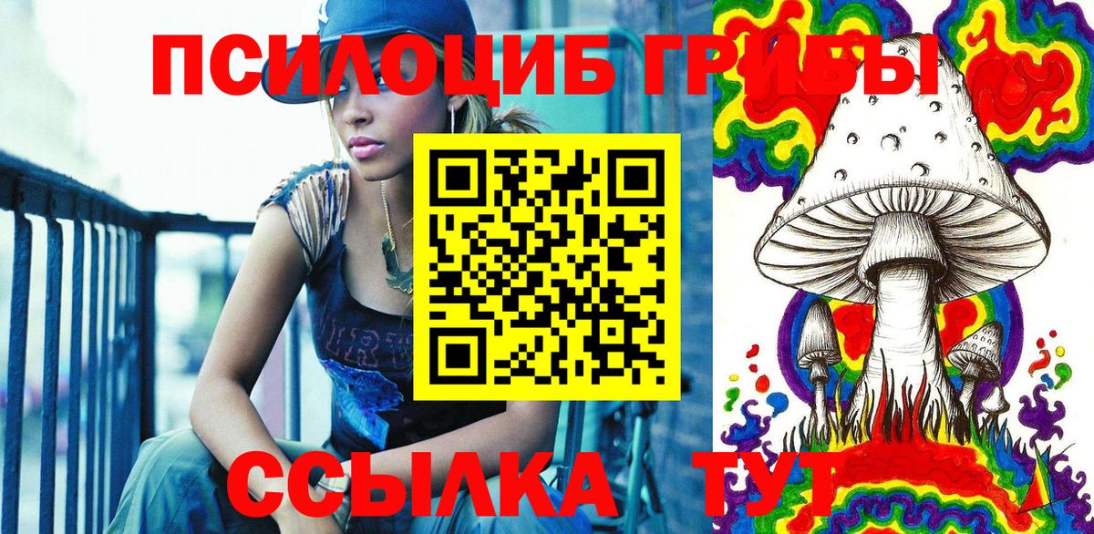 Псилоцибиновые грибы прущие грибы Владивосток